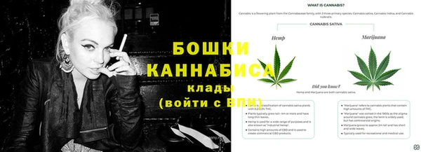гидропоника Вяземский